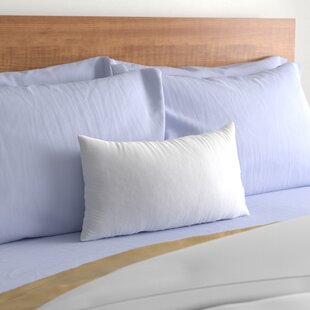 Hollander Bed Pillows 19238 Wayfair